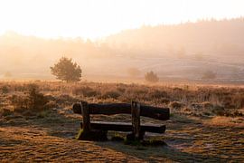 Sunrise Veluwe by Jeroen Linnenkamp