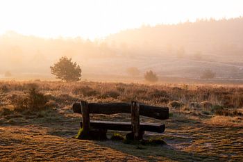 Zonsopkomst Veluwe