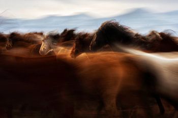 De geest van vrijheid