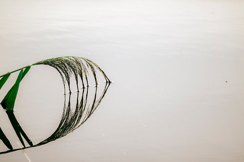 Une réflexion en silence