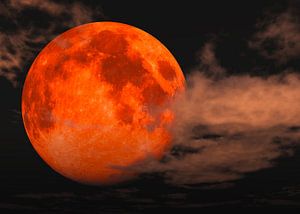 Blood Moon - totale maansverduistering van Max Steinwald