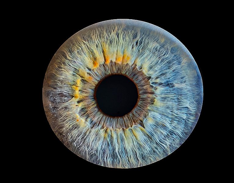 Blaue Augen von Jolanda Hugens Kommers