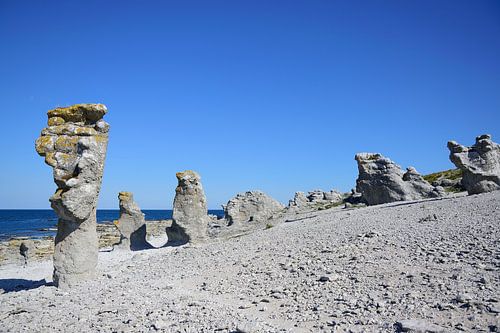 Langhammars rauk gebied