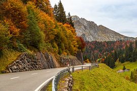 Passstraße zur Schwägalp in den Schweizer Alpen von Conny Pokorny