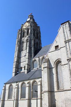 Sint-Walbergakerk, Oudenaarde, België van Imladris Images