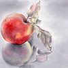 Roter Apfel und seine Spiegelung von Adriana Müller