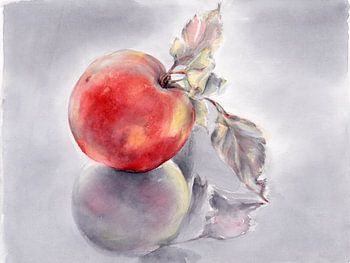 Roter Apfel und seine Spiegelung