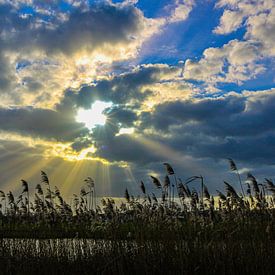 Zonnestralen in Kinderdijk van Marloes Post