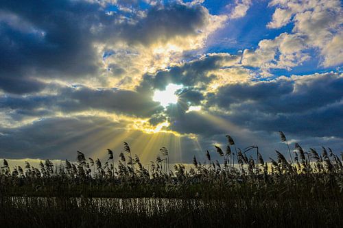 Sonnenstrahlen in Kinderdijk