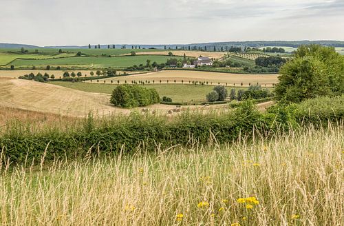 Zomer in Zuid-Limburg