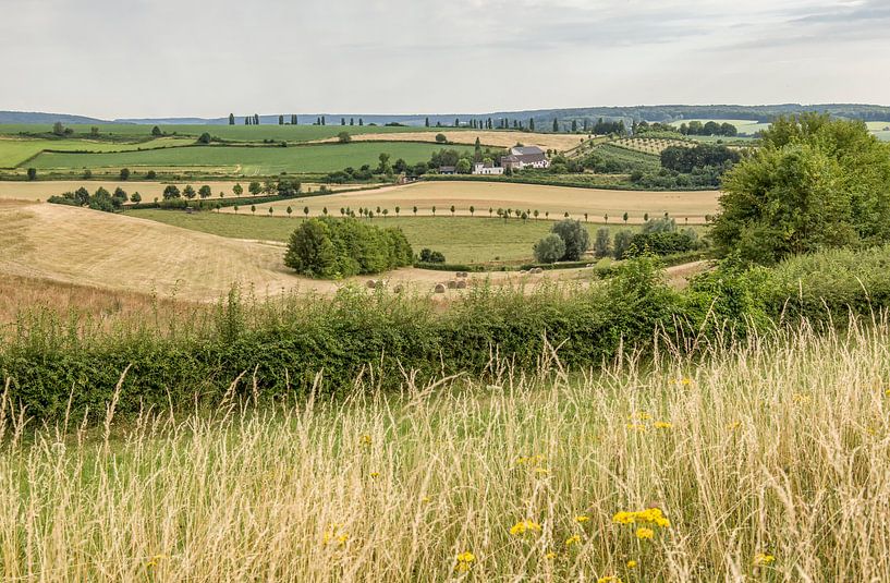 Zomer in Zuid-Limburg par John Kreukniet