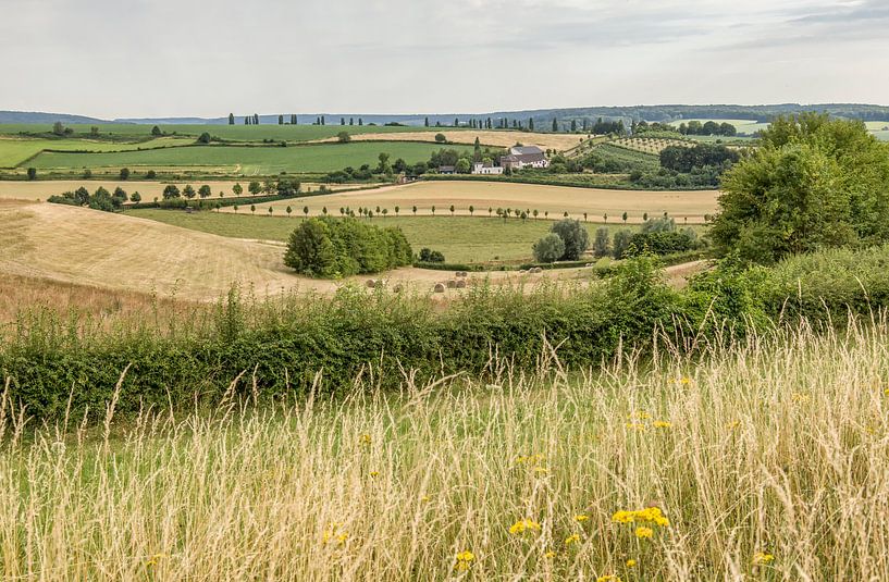 Zomer in Zuid-Limburg van John Kreukniet