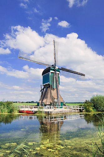 Caractéristique moulin à vent hollandais près du canal avec une végétation luxuriante 2