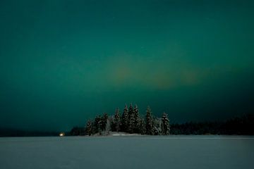 Flüsterndes Grün von Anniek Snoeijs