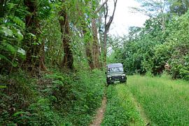 Off road driving by Frank's Awesome Travels