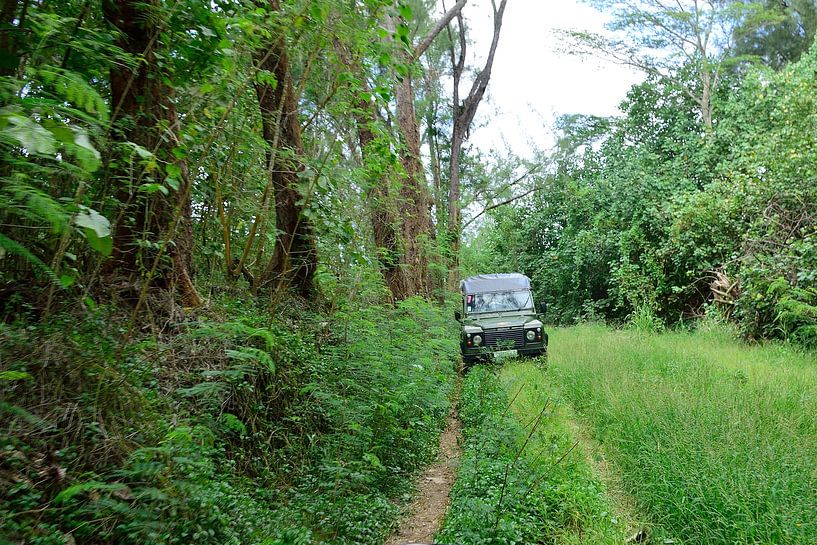 Conduite hors route par Frank's Awesome Travels