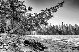 Little beach by Irene Nicaise