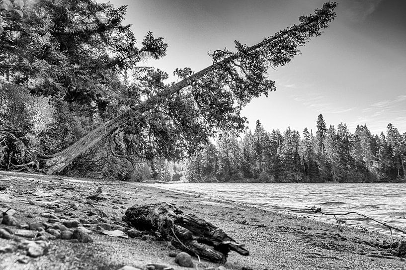 Little beach by Irene Nicaise