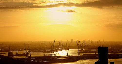 DER GOLDENE HAFEN VON ROTTERDAM