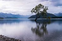 Lake Wanaka, New Zealand