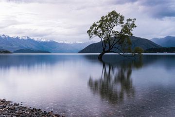 Lake Wanaka, Nieuw-Zeeland van Linda Schouw