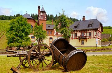 Avelsbach-wijnbouwgebied in Trier van Berthold Werner