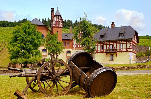 Weinbaudomäne Avelsbach in Trier