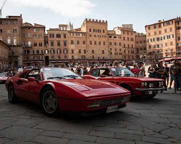 De Campo gevuld met Italiaanse sportauto's | een reis door Italië van Roos Maryne - Natuur fotografie