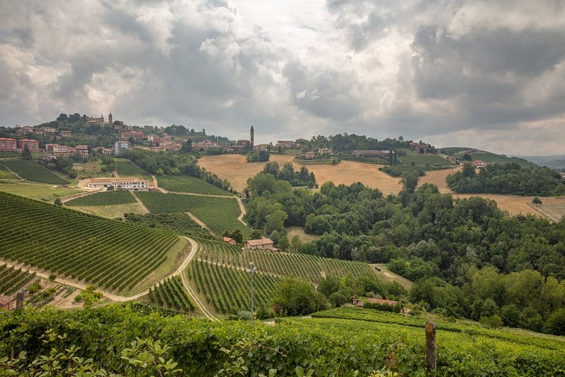 Blick über Hügel und Felder mit Weinbergen Piemont, Italien von Joost Adriaanse