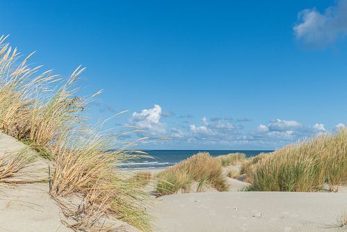 Terschelling