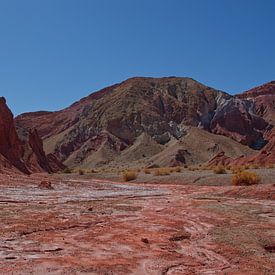 Rainbow valley in de Atacama woestijn van cobofoto