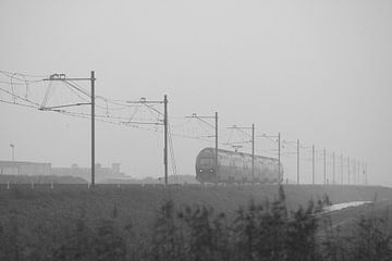 Misty train