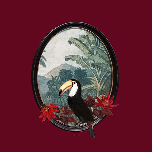 Portail Toucan sur MAR Illustrations and Design