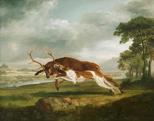 Hound Coursing a Stag, George Stubbs