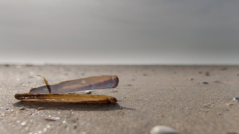 Lonely at the beach by Marlous en Stefan P.
