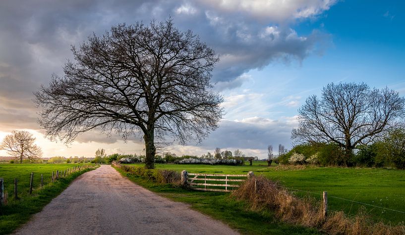Landschap in Gorssel, de Ravenswaarden von Patrick Rodink