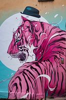 Tigre rose