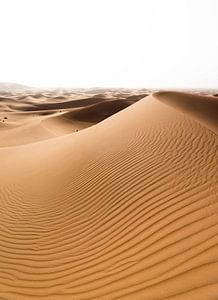 Sahara °10