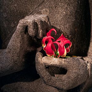 Boeddha's handen met rode bloem van Affect Fotografie