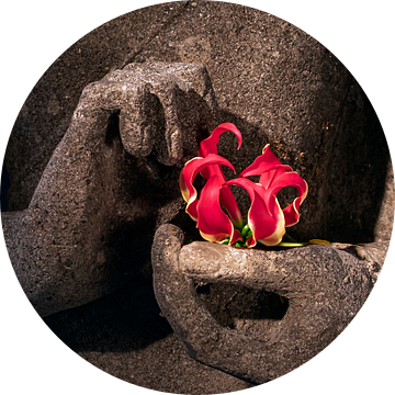Boeddha's handen met rode bloem van Affect Fotografie