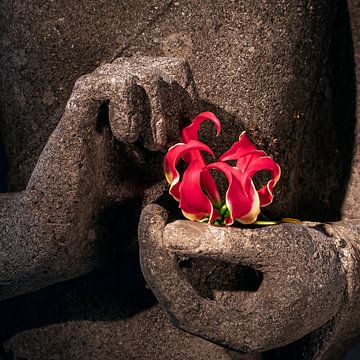 Buddhas Hände mit roter Blume