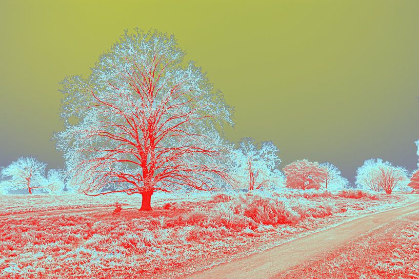 contemporary colorful image of a tree in landscape by Herman Kremer