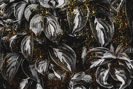 Black and Gold by Patrycja Polechonska