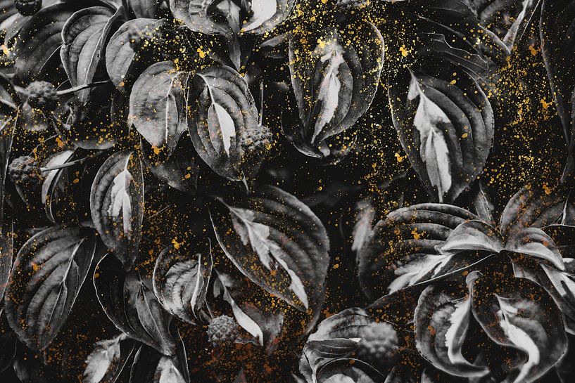 Black and Gold by Patrycja Polechonska