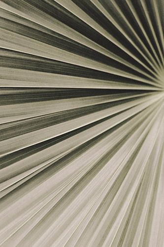 Botanische Studie 10