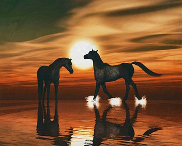 Paarden in de zonsondergang aan zee