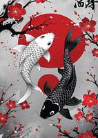 Koi