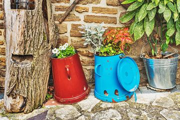 Colorful cans and buckets with flowers