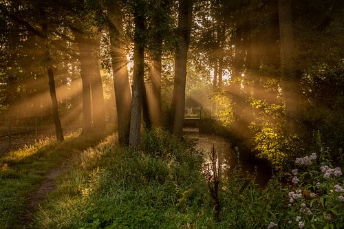 Zonneharpen bij het landgoed Herinckhave