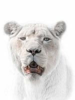 White Queen